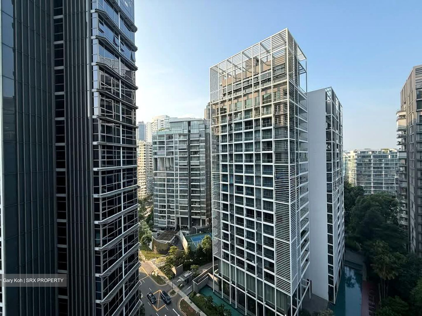 Cairnhill Nine (D9), Apartment #598276551